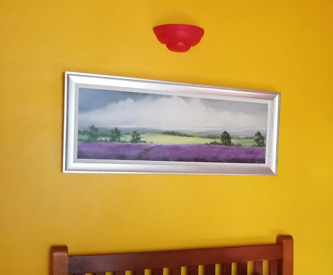 Margarita Del Sol Hotel Costa Maya Mahahual