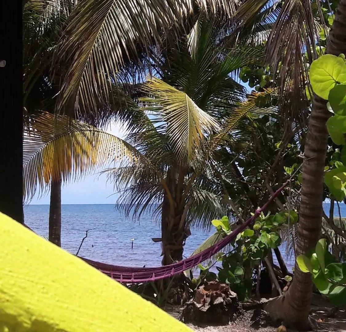 Margarita Del Sol Hotel Costa Maya Mahahual