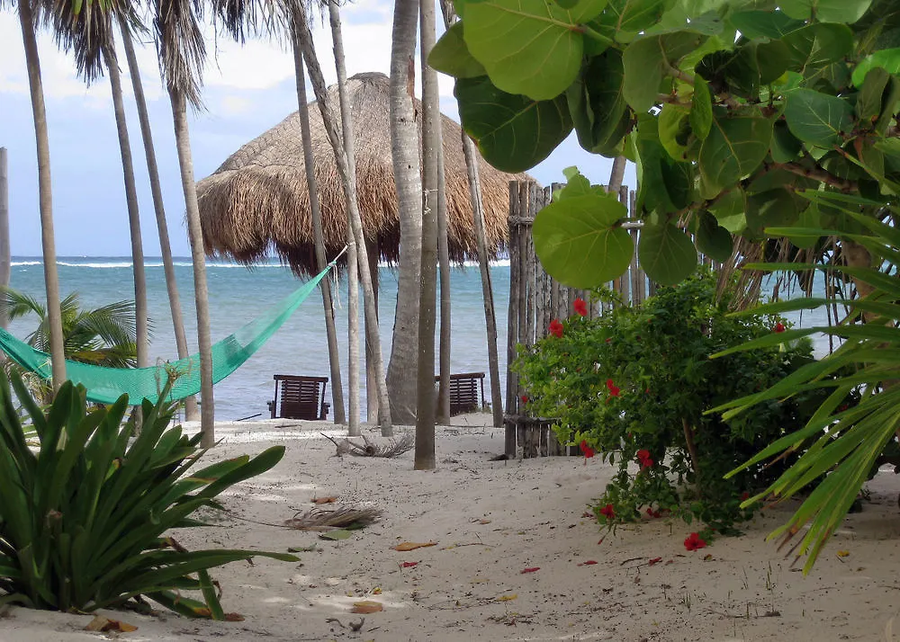 Margarita Del Sol Hotel Costa Maya Mahahual Mexico