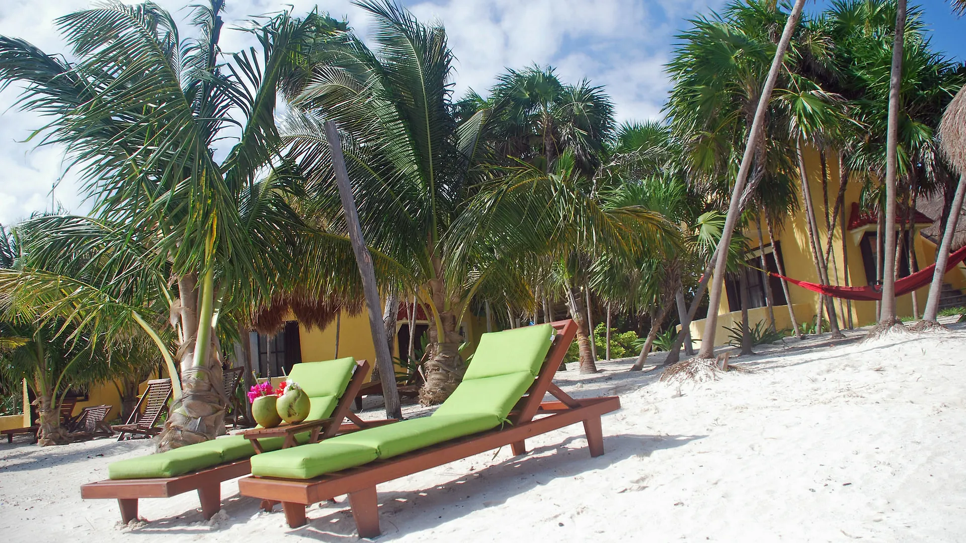 Margarita Del Sol Hotel Costa Maya contacts