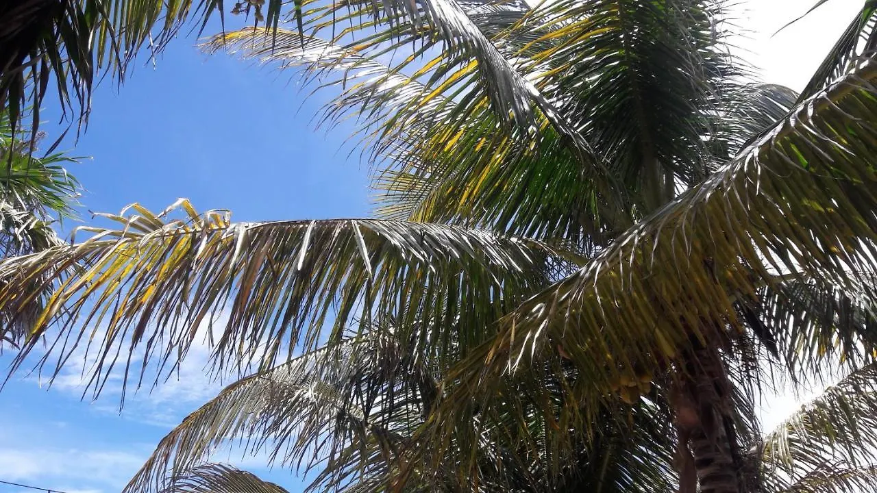 Margarita Del Sol Hotel Costa Maya Mahahual