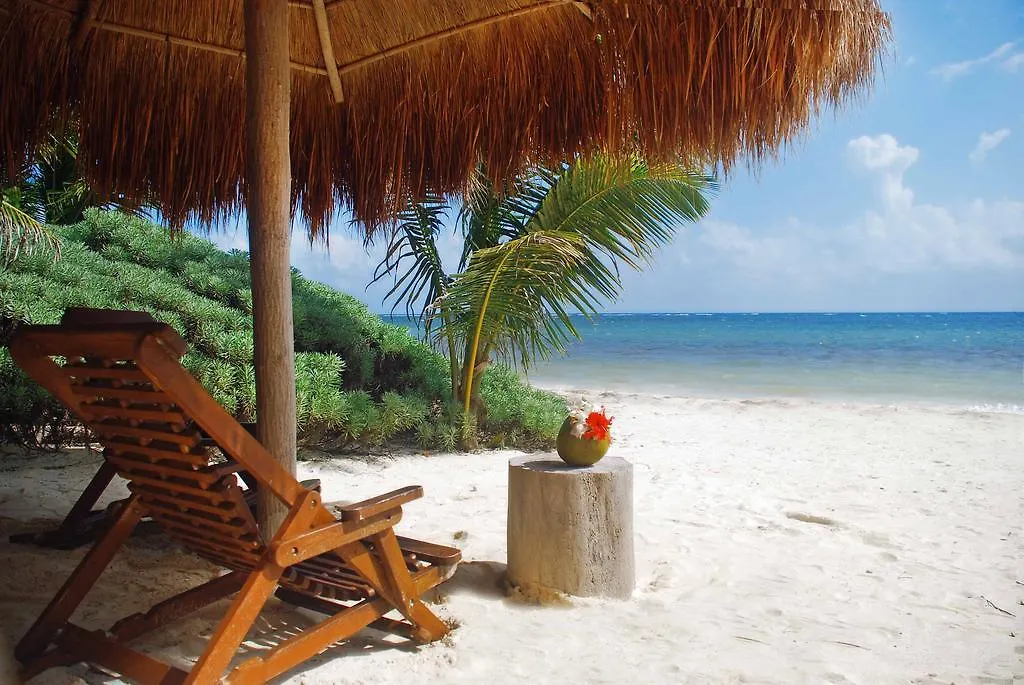 Margarita Del Sol Hotel Costa Maya Mahahual