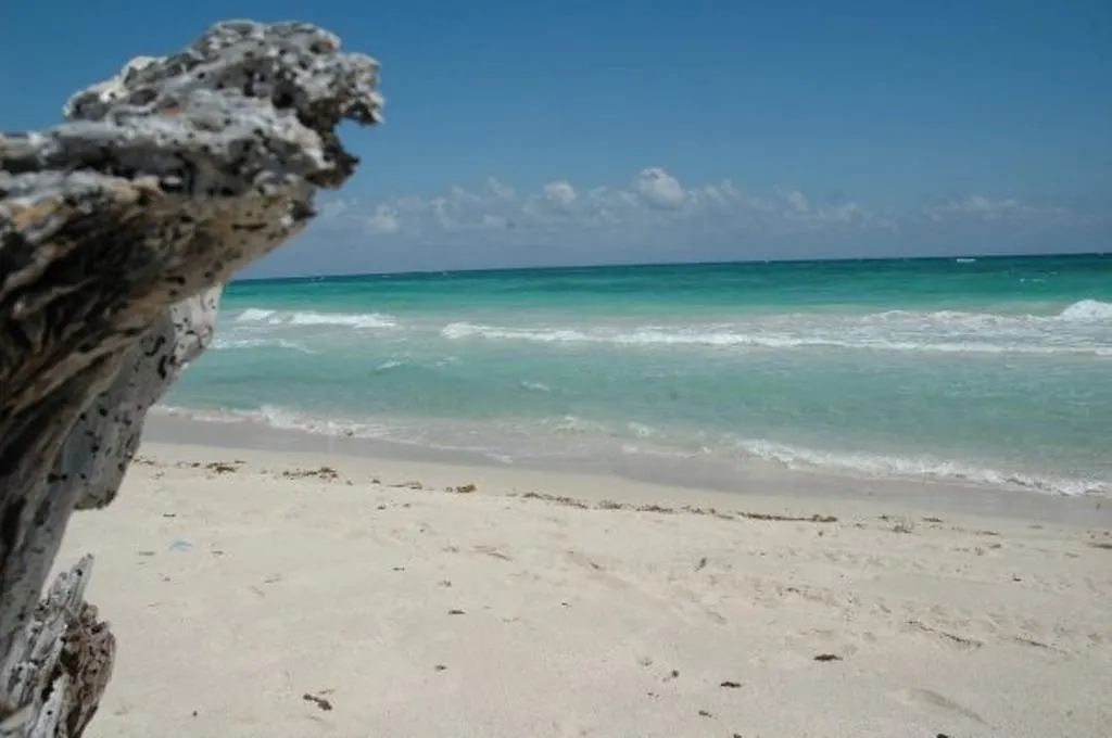 Margarita Del Sol Hotel Costa Maya Mahahual México